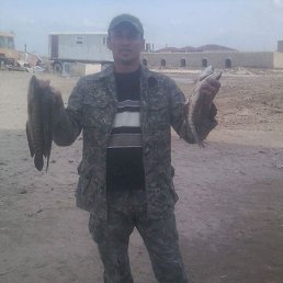 ���� ���, �����������, 38 ���