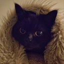 ���� Ella, �������� - ��������� 13 ������ 2025 � ������ ���� ����������