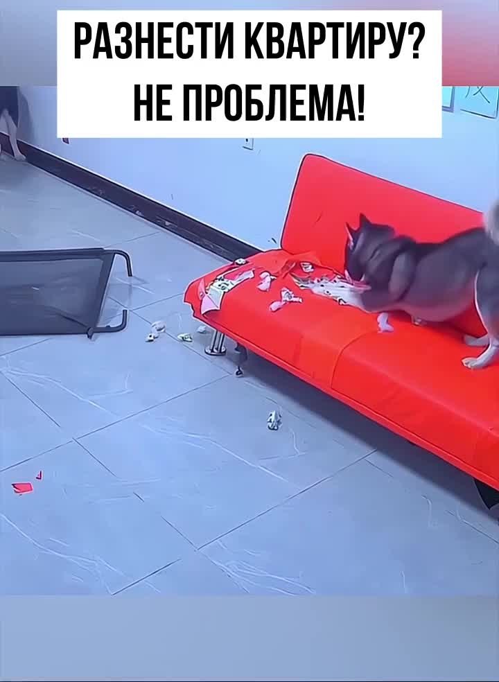 ��� ������� � ���� � ��� ������ - 2