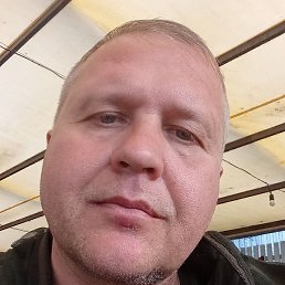 ������� �������, ������, 46 ���