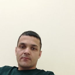 , 33, 