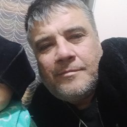 �����, �����-���������, 55 ���