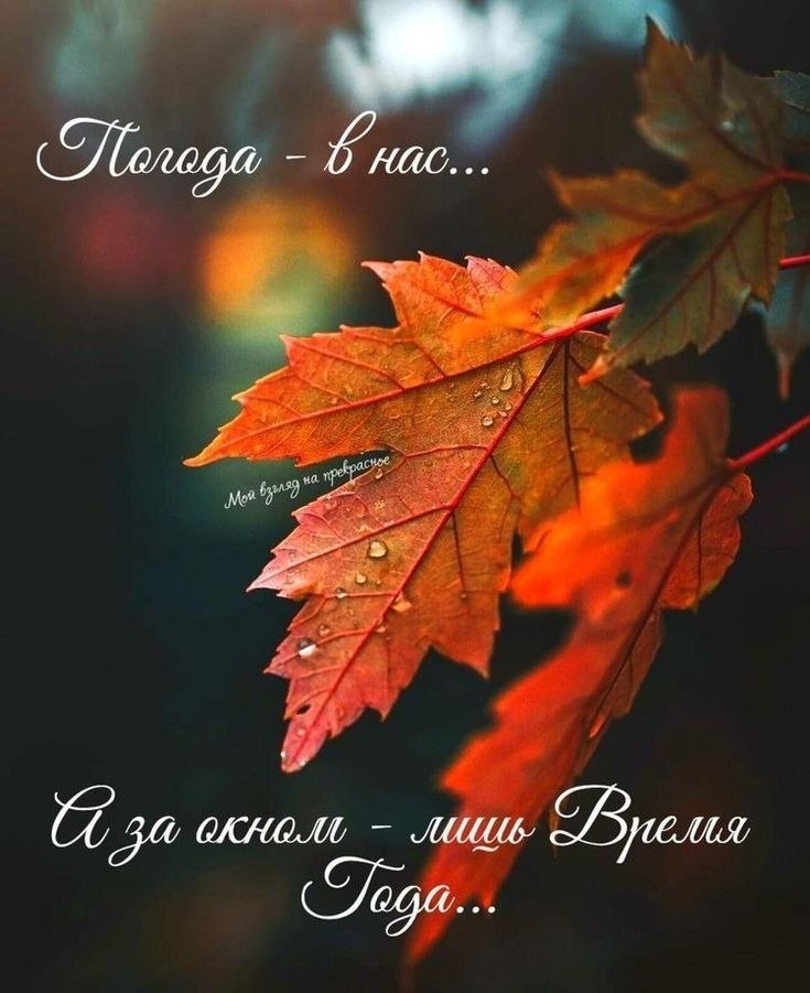 Всё будет хорошо! - 27 октября 2025 в 16:41