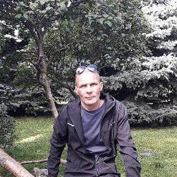 ����, ������, 46 ���