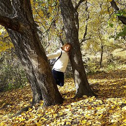 �i��, �����������