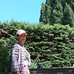 ����� �������, �����������, 67 ���