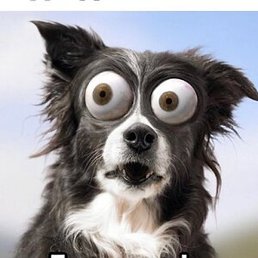 ������, ������, 32 ����