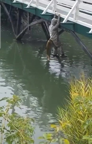 ����� ������ ������� ��� �� ������