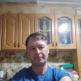 ����, 42 ����, ���������