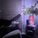 ���� ������, �����-���������, 20 ��� - ��������� 8 ������ 2026