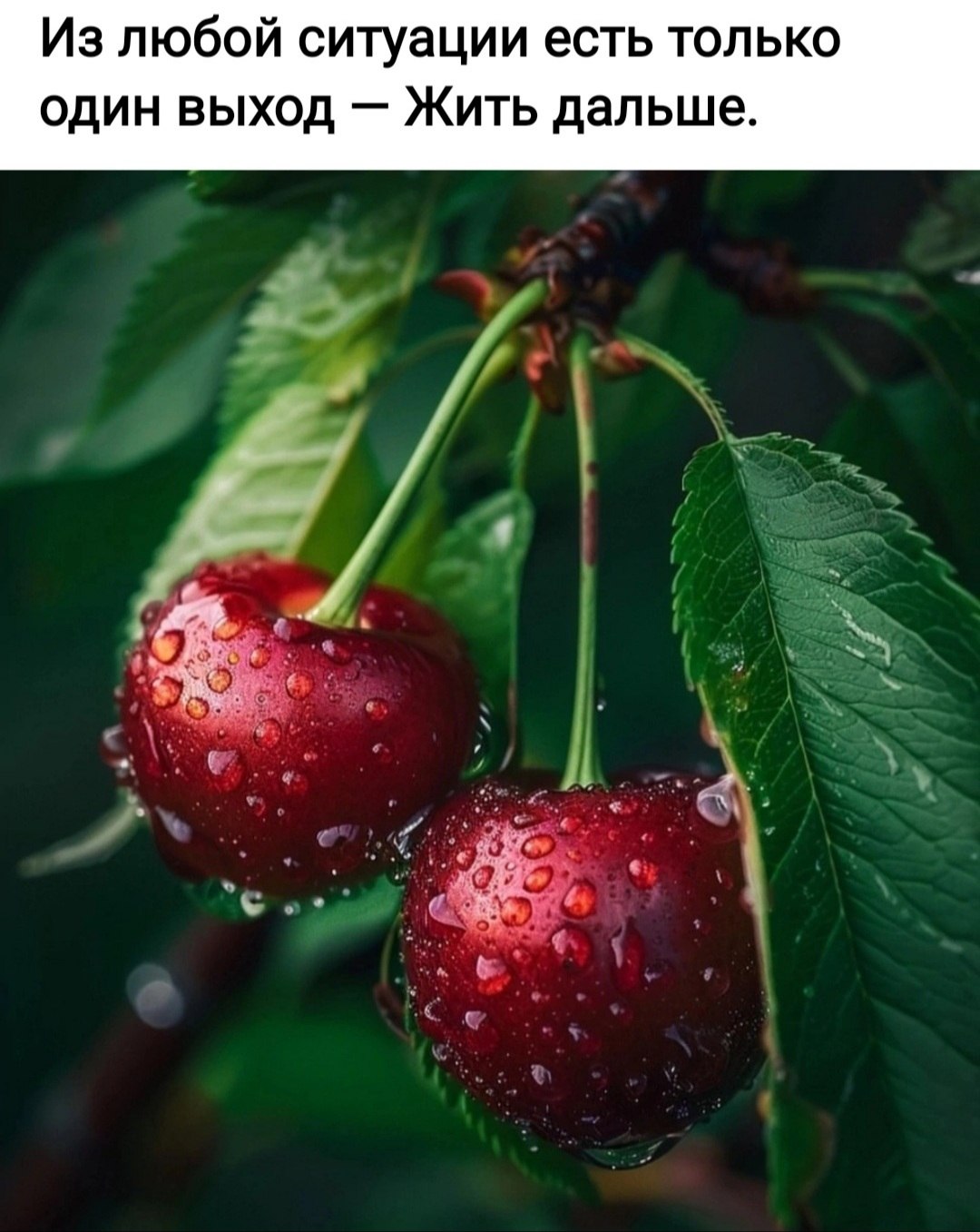 *T���* - 5 ������ 2024 � 23:01