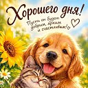 ���� �����, ���� - ��������� 13 �������� 2026 � ������ ������ ��������