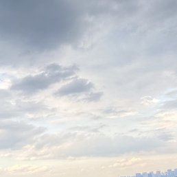 �������, ������, 55 ���