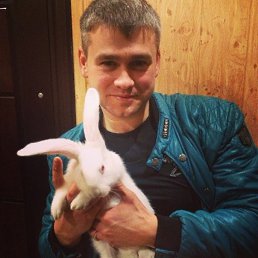 ���� ����, �����, 35 ��� - ��������� 15 ������� 2023