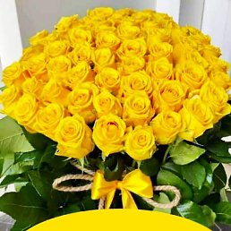 �������, ������, 67 ���