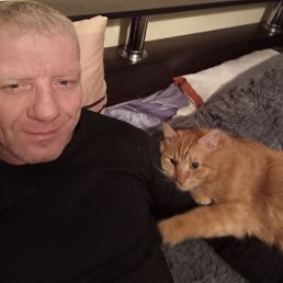 �����, 43 ����, ����