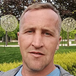 ���������, ������, 39 ���