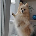 ���� �������, ������, 38 ��� - ��������� 18 ������ 2026 � ������ ���� ����������
