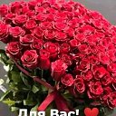 ���� ������, ������, 73 ���� - ��������� 23 ������� 2025 � ������ ������ ��������
