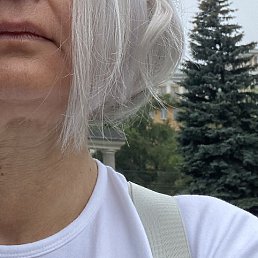 ������, �����������, 56 ���