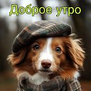 ���� ���� ��������, ������, 72 ���� - ��������� 25 ������� 2025 � ������ ������ ��������