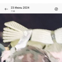, 44, 
