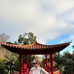 ��������, �����������, 29 ���