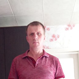 , 46, 