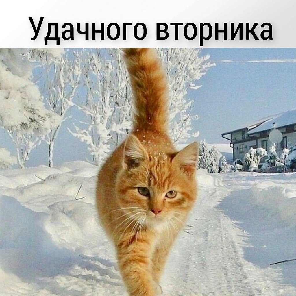       - 10  2025  11:13 - 2