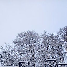 �������, ������, 59 ���