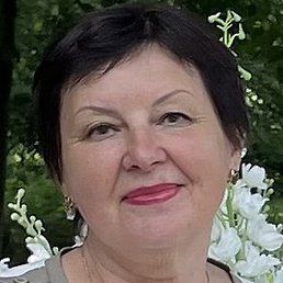 �����, ������, 65 ���