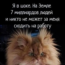 ���� Kat�in, ������ - ��������� 31 ����� 2026