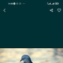 ���� ����, �������, 56 ��� - ��������� 6 ������� 2024