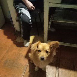 ���� �������, ������, 42 ���� - ��������� 22 ������� 2023