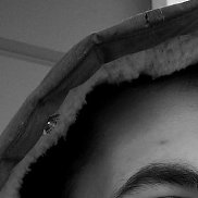 , 33 , 