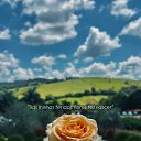 ���� �����, �����, 47 ��� - ��������� 27 ������ 2026 � ������ ���� ����������