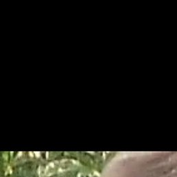 ���������, �����������, 48 ���