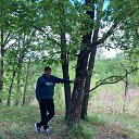 ���� ����, ������������, 42 ���� - ��������� 3 ������ 2025 � ������ ���� ����������