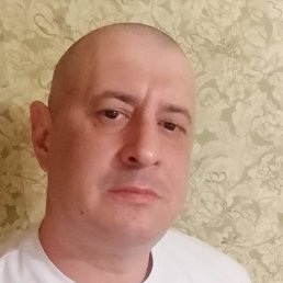 �������, �������, 41 ���