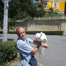 ���� ��������� ��������, ���������, 52 ���� - ��������� 28 ��� 2024