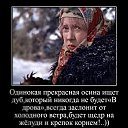 ���� �������, �����, 62 ���� - ��������� 13 ������ 2026