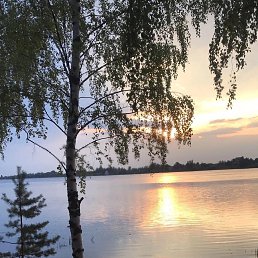 ���� �����, ������, 29 ��� - ��������� 3 ����� 2024