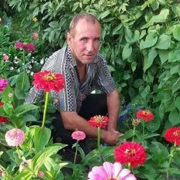 �����, ������, 53 ����