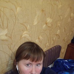 ������, 41 ���, ������