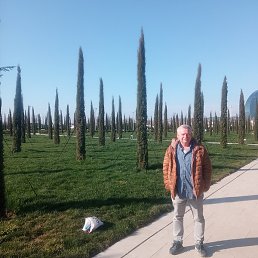 ������, ��������, 49 ���