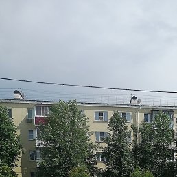 ��������, ������, 36 ���