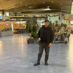 �����, 36 ���, �����-���������