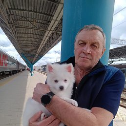 �������, 59 ���, ���������