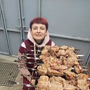 ���� �����, �������, 40 ��� - ��������� 1 ��� 2026 � ������ ���� ����������