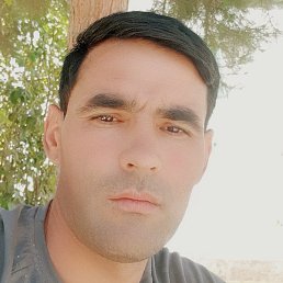 �����, ������, 37 ���